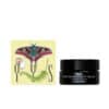 Yin Your Skin MESI Defining Beauty Balm for Firmness & Structure, 50ml