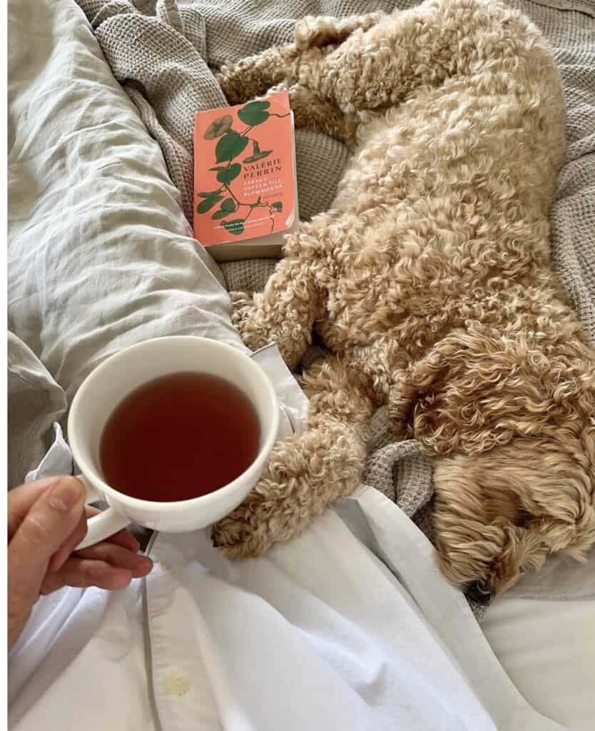 Hund som vilar på säng med kopp te och bok om återhämtning.